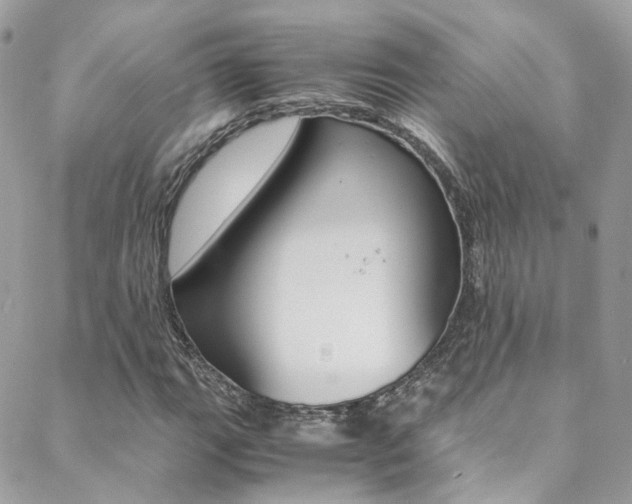 X0000089451111200706151029