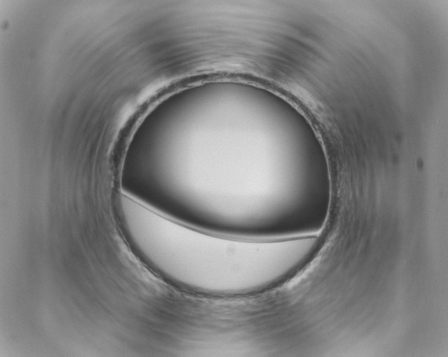 X0000089451118200706151029