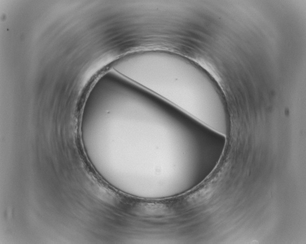 X0000089451119200706151029