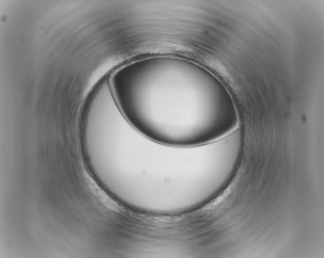 X0000089451122200706151029