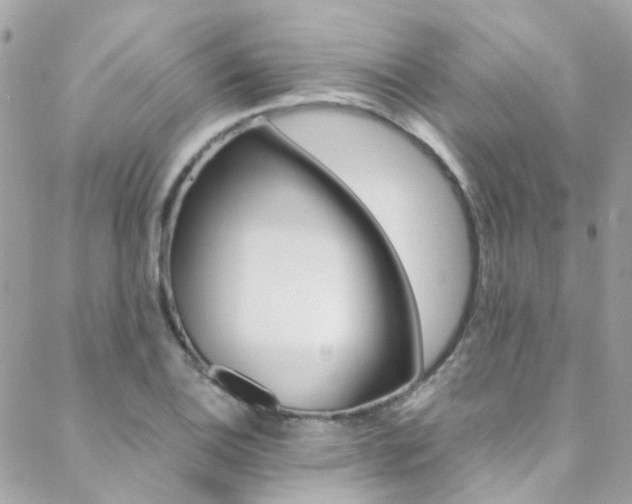 X0000089451124200706151029