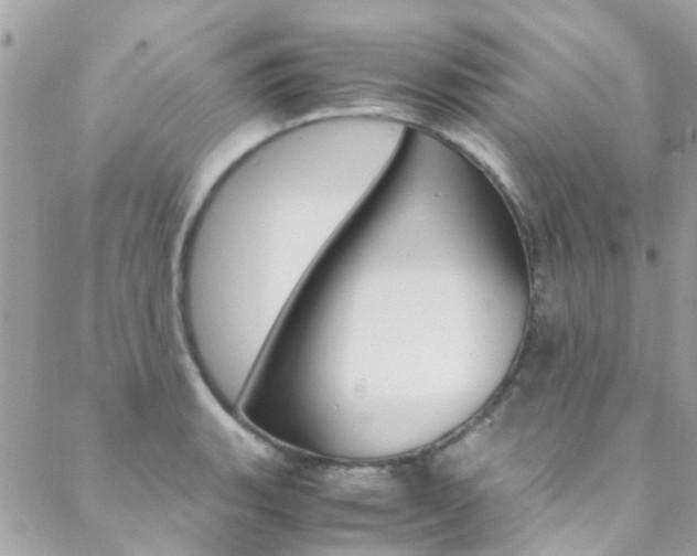 X0000089451135200706151030