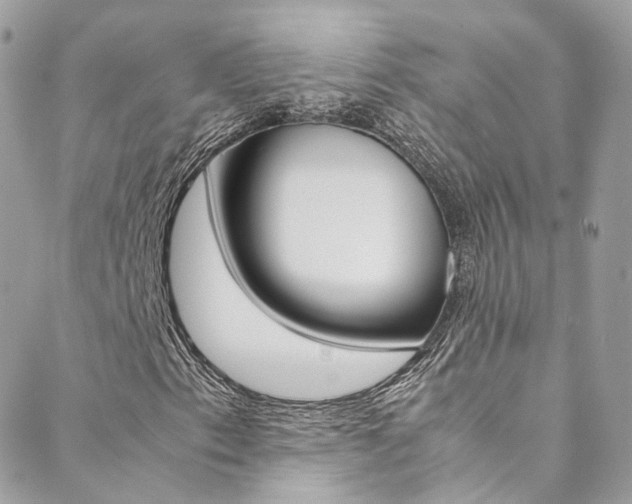X0000089451153200706151029