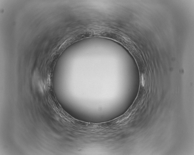 X0000089451155200706151029