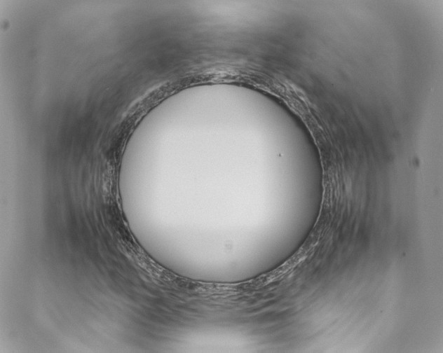 X0000089451158200706151029