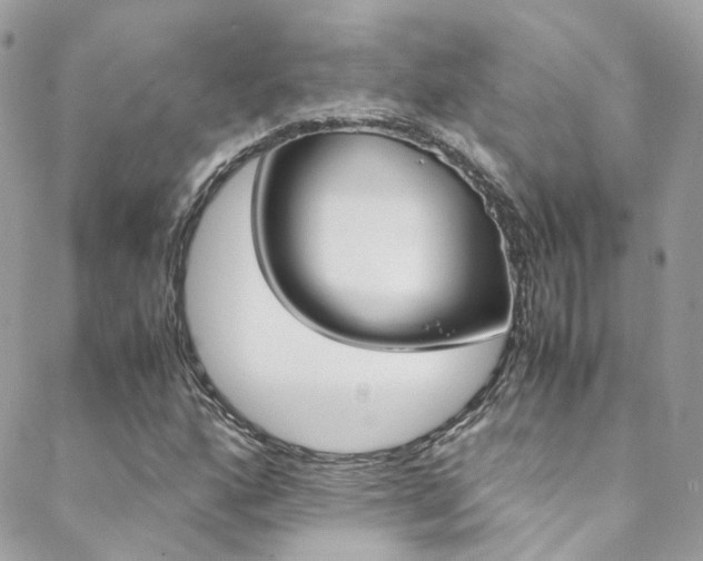 X0000089451160200706151029