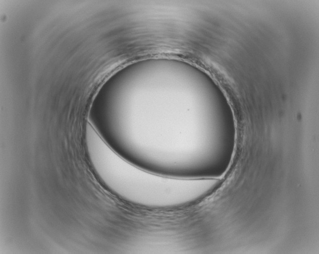 X0000089451169200706151029