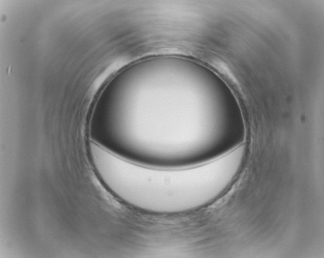X0000089451181200706151029