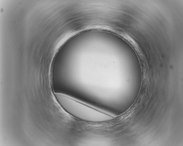 X0000089451199200706151028