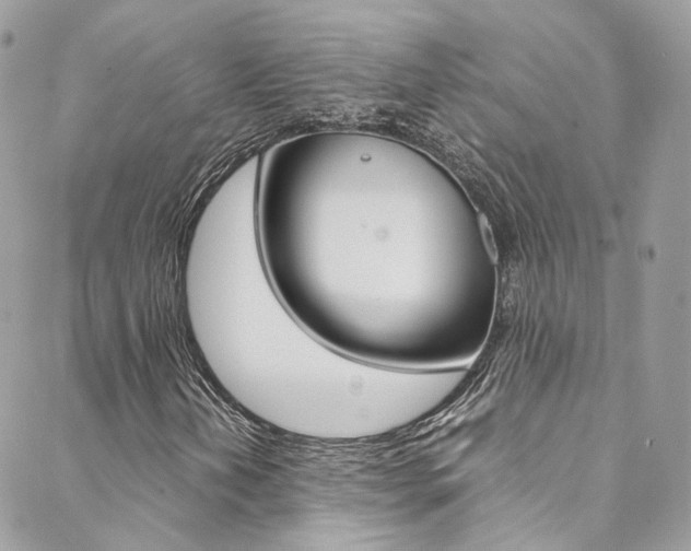 X0000089451202200706151028
