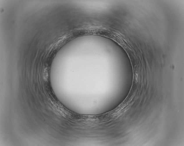 X0000089451204200706151028