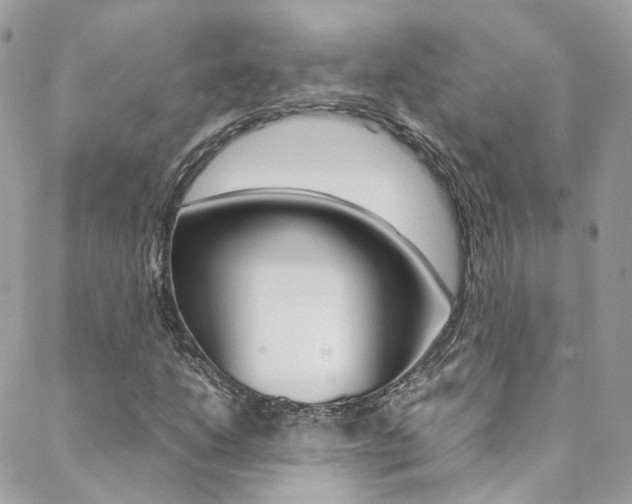 X0000089451206200706151028