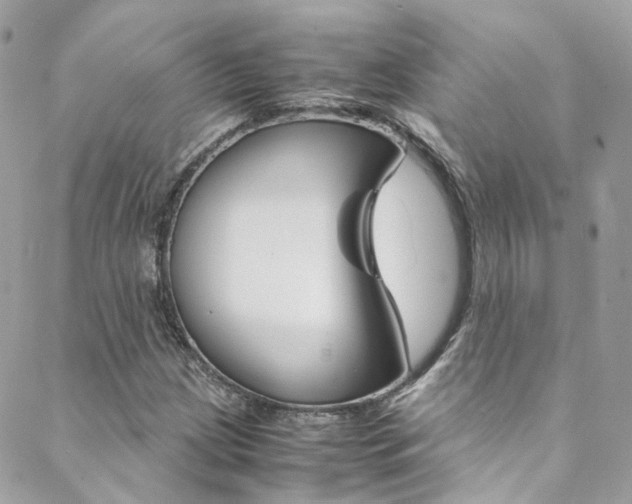 X0000089451209200706151028