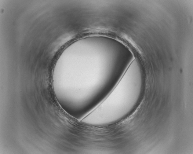 X0000089451213200706151028