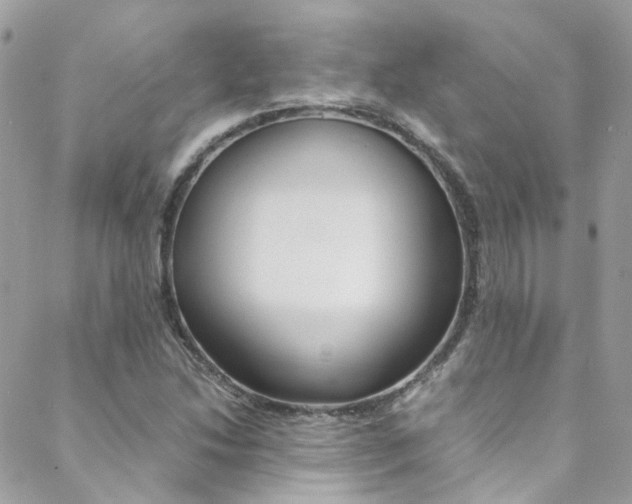 X0000089451214200706151028