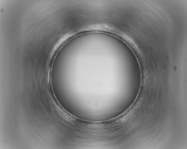 X0000089451224200706151028
