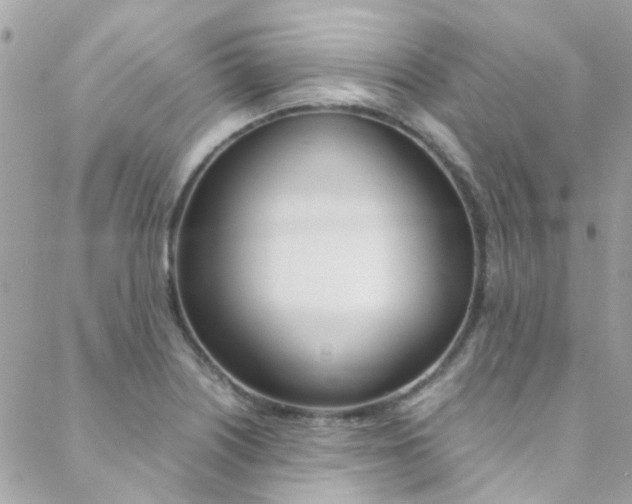 X0000089451226200706151028