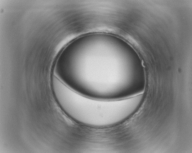 X0000089451230200706151028