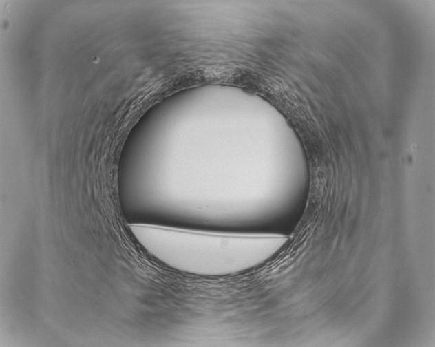 X0000089451249200706151027
