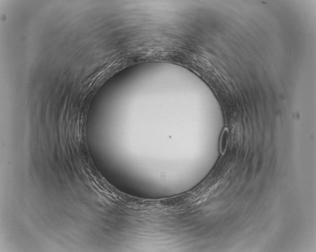X0000089451250200706151027