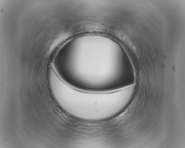 X0000089451261200706151027