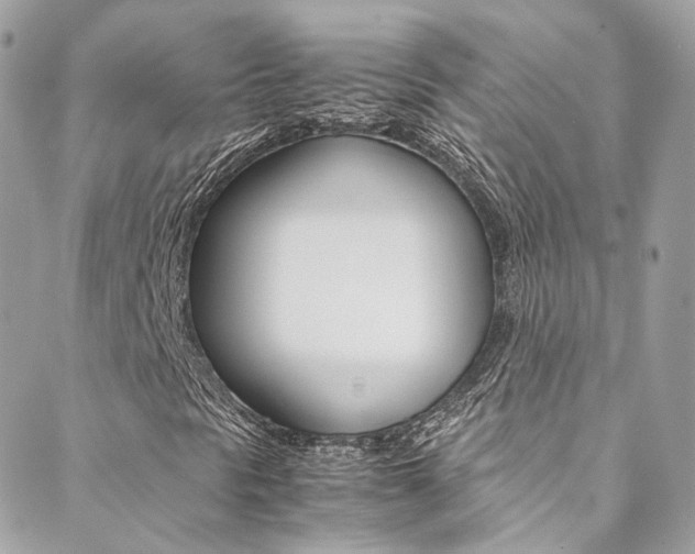 X0000089451297200706151026