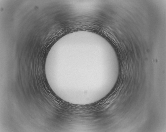 X0000089451298200706151026