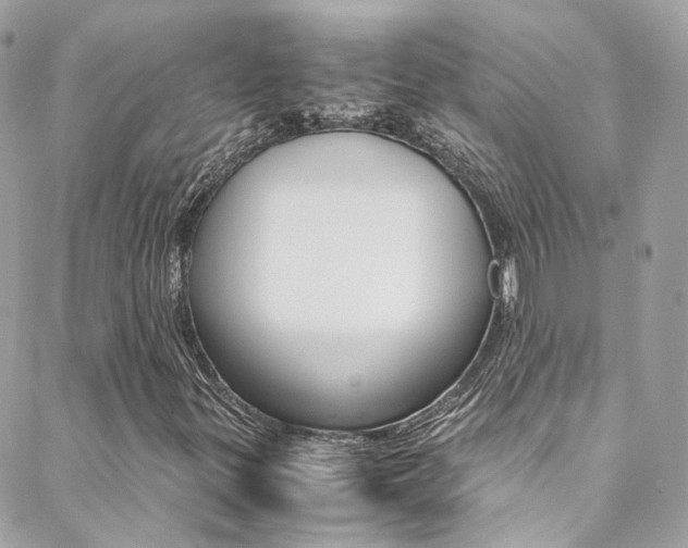 X0000089451299200706151026