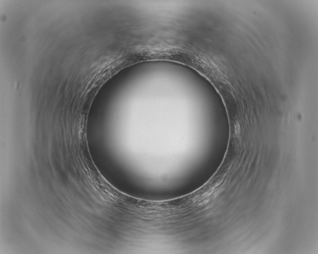 X0000089451300200706151026