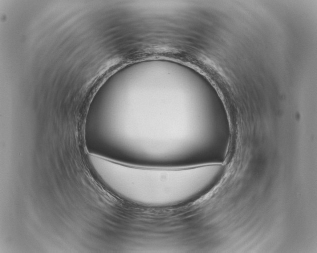 X0000089451305200706151026