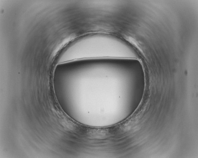 X0000089451307200706151026