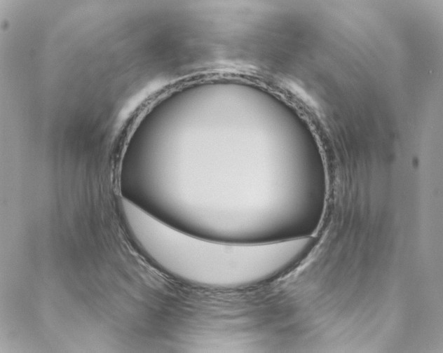 X0000089451310200706151026