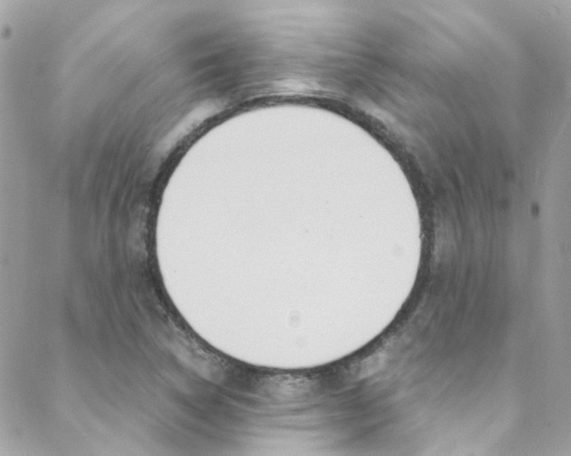 X0000089451314200706151026