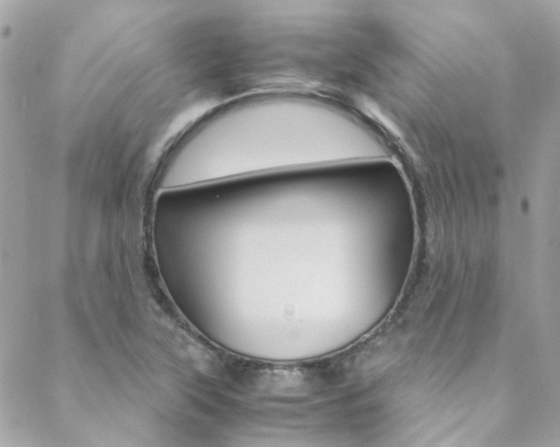 X0000089451315200706151026