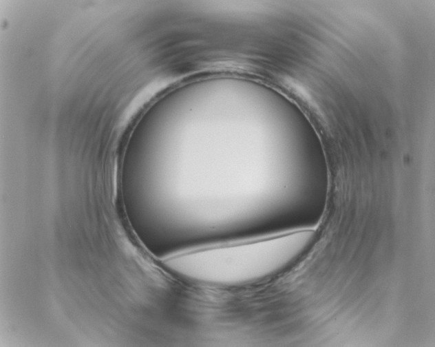 X0000089451323200706151026