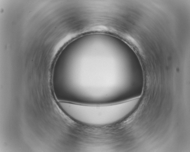 X0000089451326200706151026