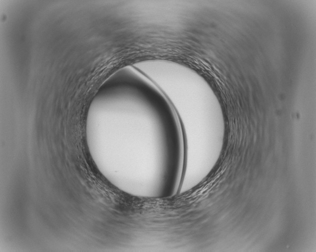 X0000089451345200706151026