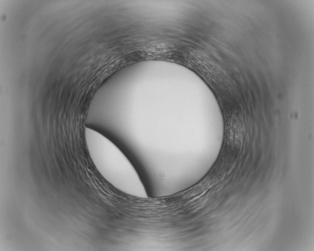 X0000089451346200706151026
