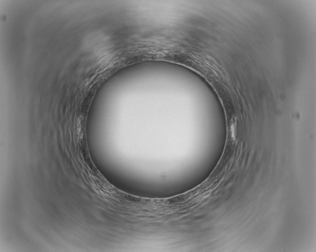 X0000089451347200706151026