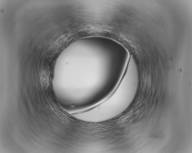 X0000089451348200706151026