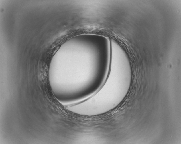 X0000089451349200706151026