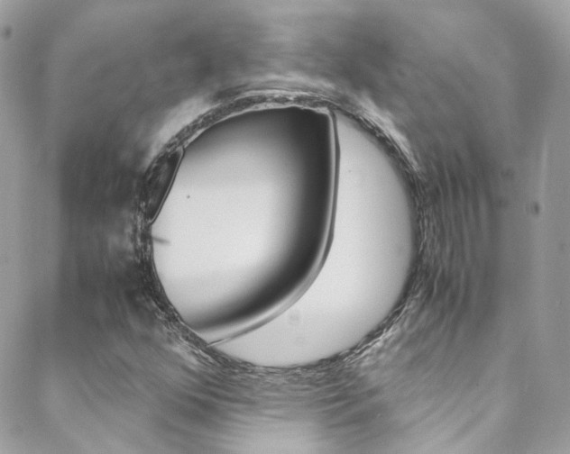 X0000089451352200706151026