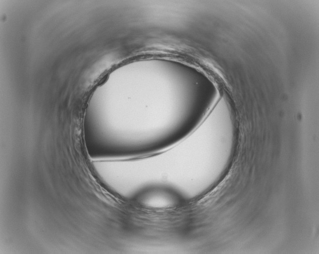 X0000089451355200706151026