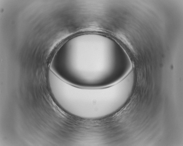 X0000089451356200706151026