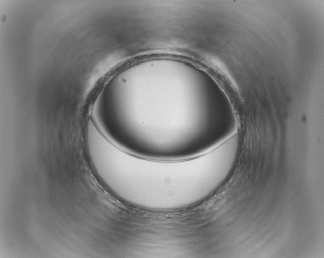 X0000089451360200706151026