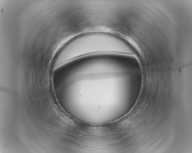 X0000089451364200706151026