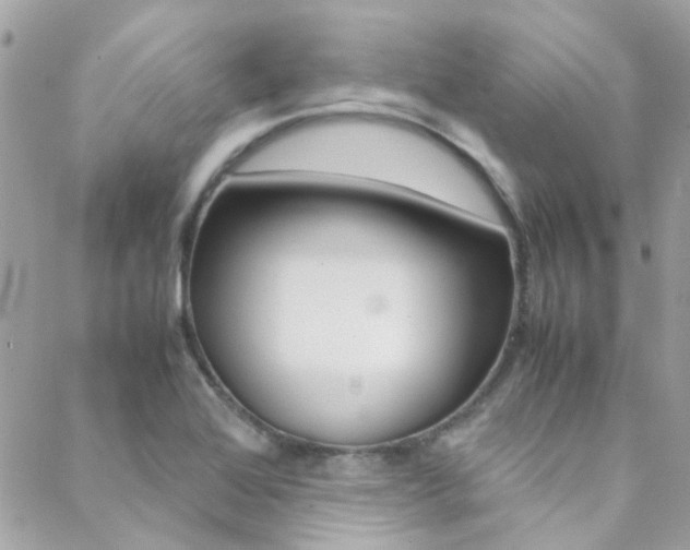 X0000089451368200706151026