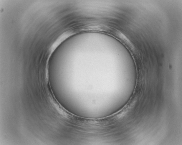 X0000089451370200706151026