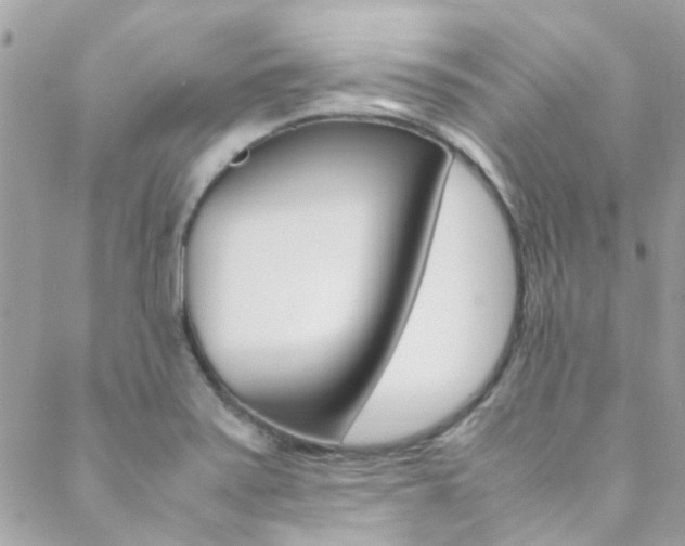 X0000089451371200706151026