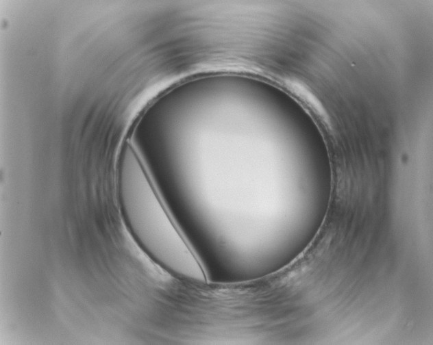 X0000089451380200706151025